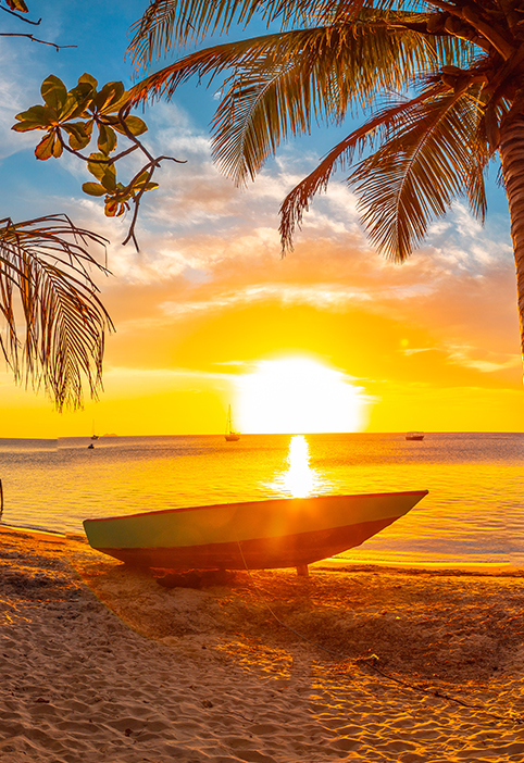 Popular Cruise Caribbean