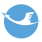 airline icon